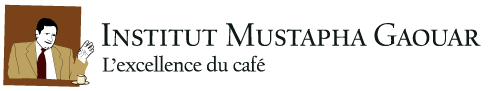 logo-Institut-Mustapha-Gaouar